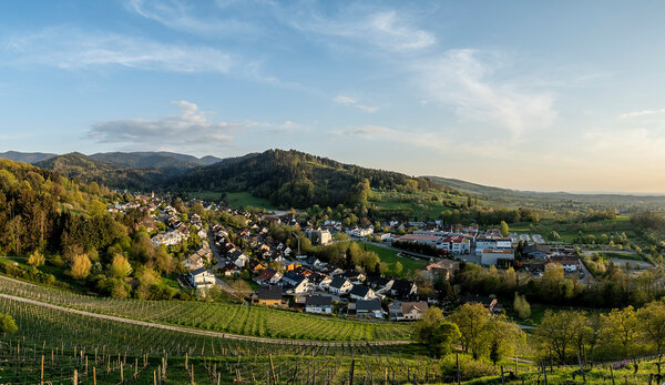 Sulzburg Panorama_klein